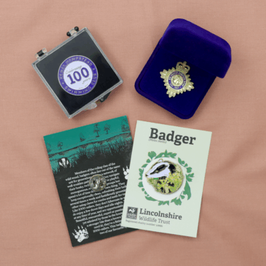 Packaging-PinBadges-01